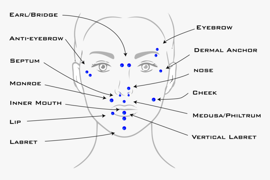 Plot, HD Png Download