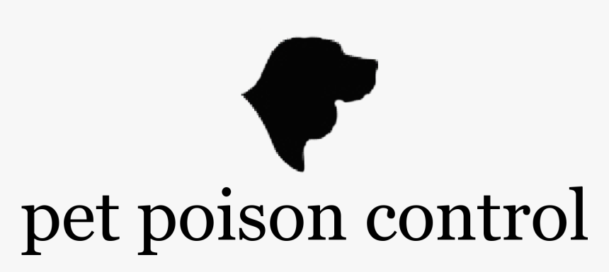 Love Quotation Feeling Life Preacher - Pet Poison Control, HD Png Download