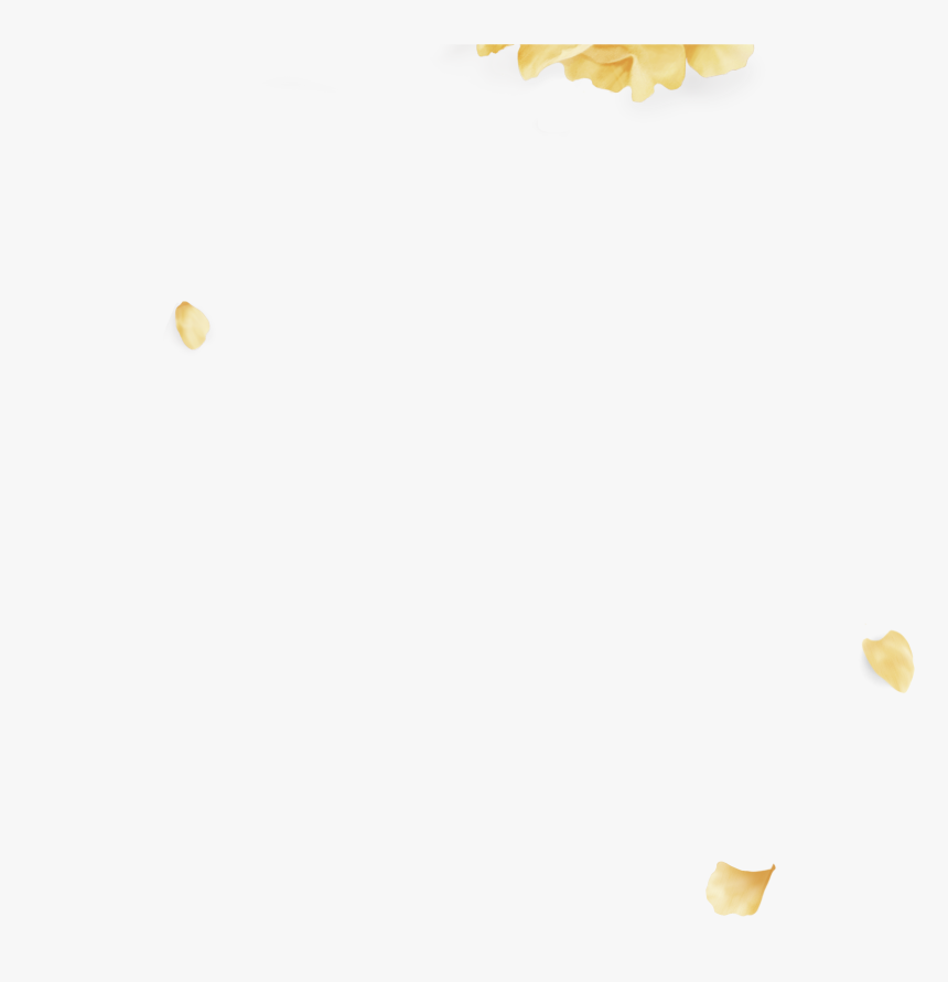 Wild Troye Sivan Png , Png Download - Sunflower, Transparent Png