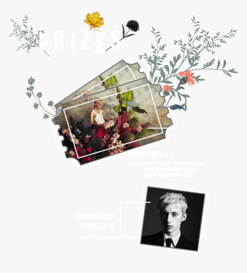 Picture Frame, HD Png Download