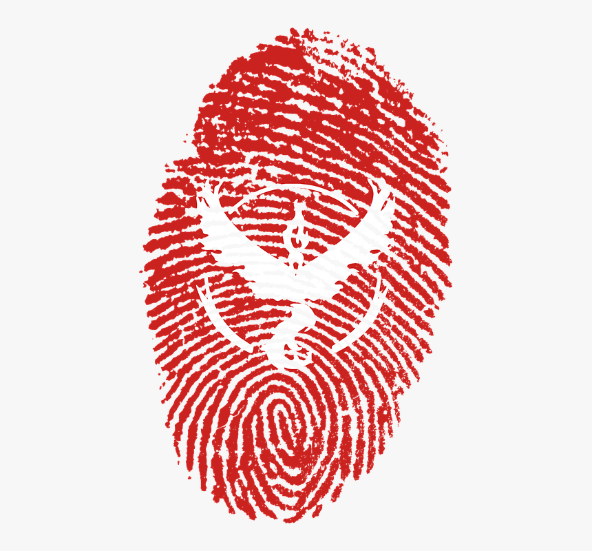 Pokemon, Pokemon Go, Valor, Game, Online Game, Team - Haiti Flag Fingerprint, HD Png Download