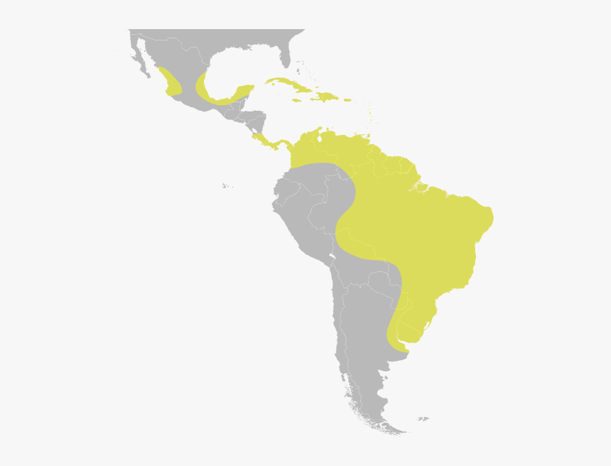 United Central Subregion States Latin America South - South America Called Latin America, HD Png Download