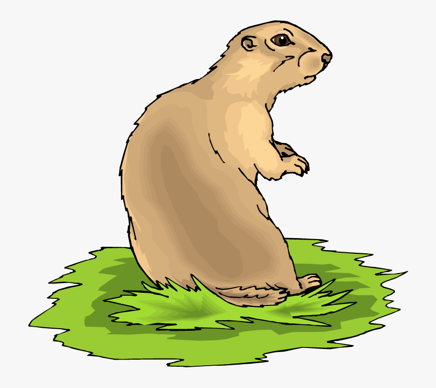 Best Prairie Dog Clip Art - Prairie Dog Clipart, HD Png Download