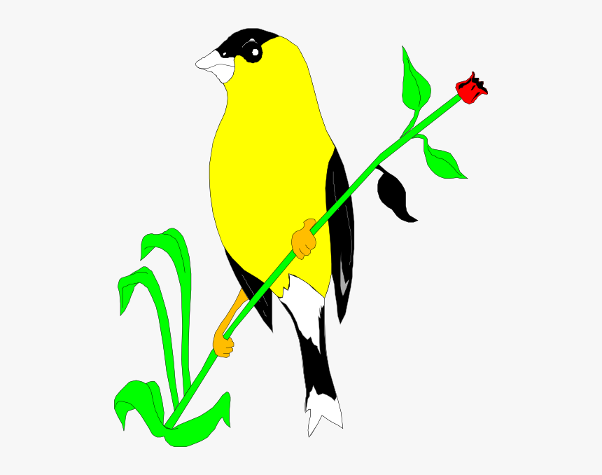 Goldfinch On A Flower Stem Svg Clip Arts, HD Png Download