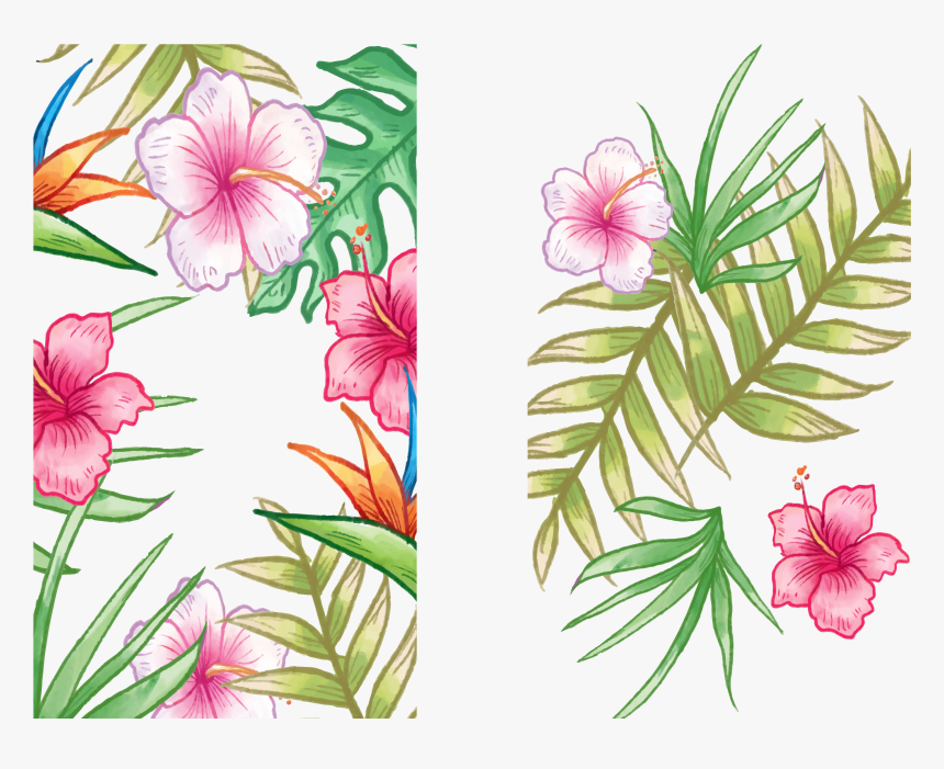 Epiphyllum Petal Family Annual Plant Plant Stem - Hawaiian Hibiscus, HD Png Download