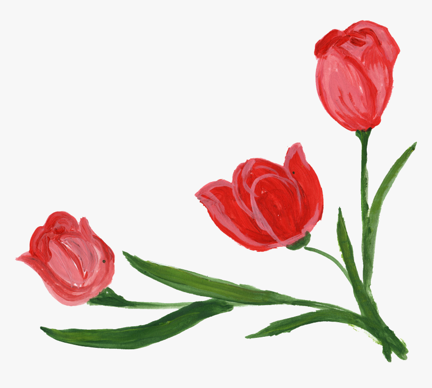 Garden Roses, HD Png Download
