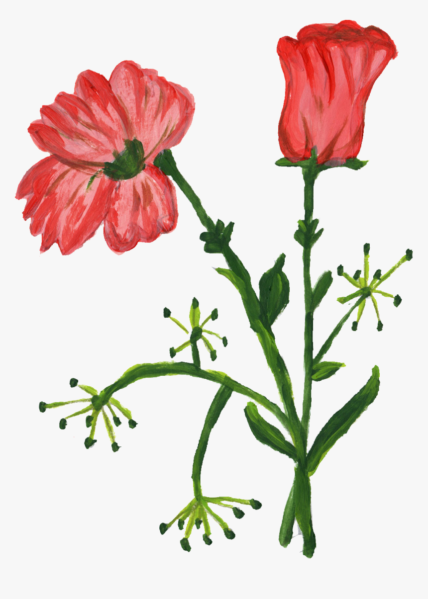 Poppy Family, HD Png Download