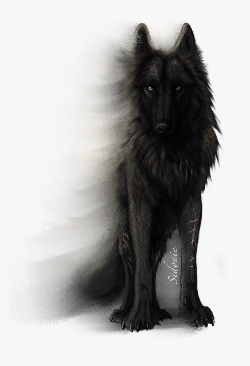 Fera Corda By Sidonie - Black Wolf White Background, HD Png Download