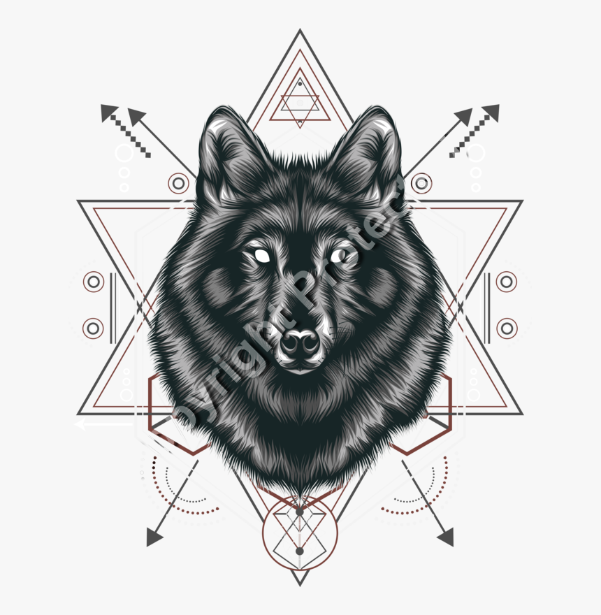 Schipperke, HD Png Download