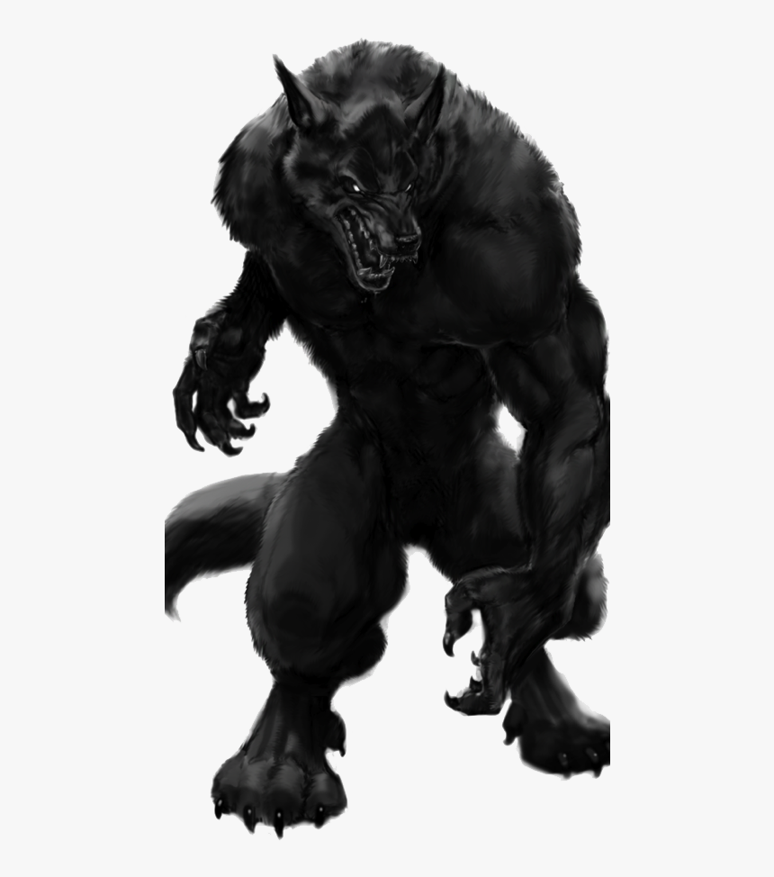 Werewolf Png, Transparent Png