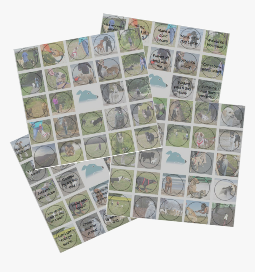 Boston Terrier, HD Png Download