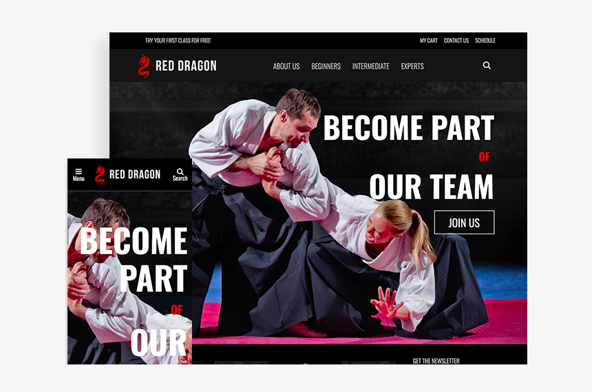 Red Dragon - Brazilian Jiu-jitsu, HD Png Download