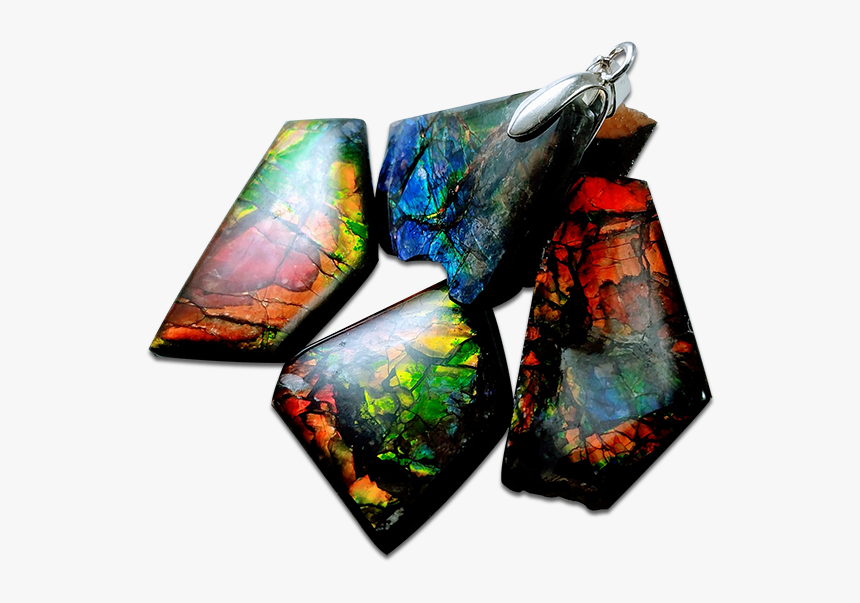 Ammolite Jewelry Group - Earrings, HD Png Download