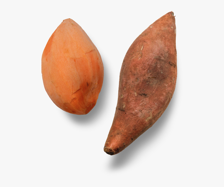 Ingredient-sweetpotato - Earrings, HD Png Download