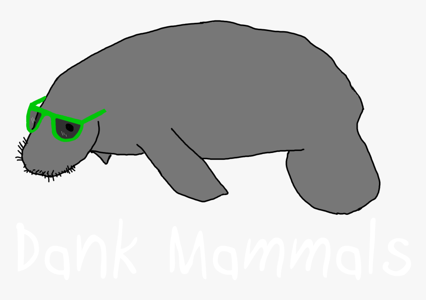 Reptile, HD Png Download