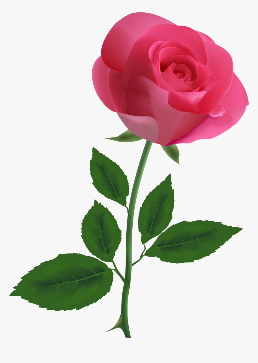 Pink Rose Pngpng Image - Pink Rose Clipart, Transparent Png
