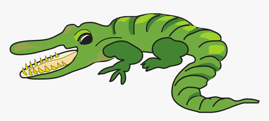 Open, Mouth, Teeth, Alligator, Segments - Caiman Animados, HD Png Download