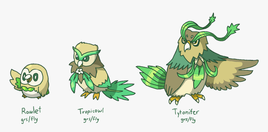 01 Rowlet Tropicowl Tytonifer - Decidueye Owl, HD Png Download
