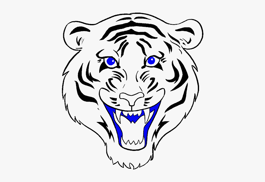 Drawing Tigers Open Mouth - Tiger Drawing Face, HD Png Download