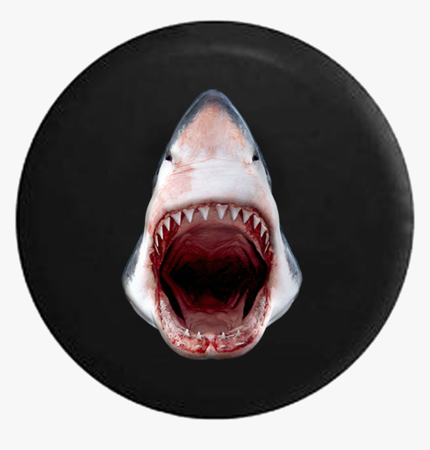 Great White Shark Jaws Open Razor Sharp Teeth Jeep - Great White Shark, HD Png Download