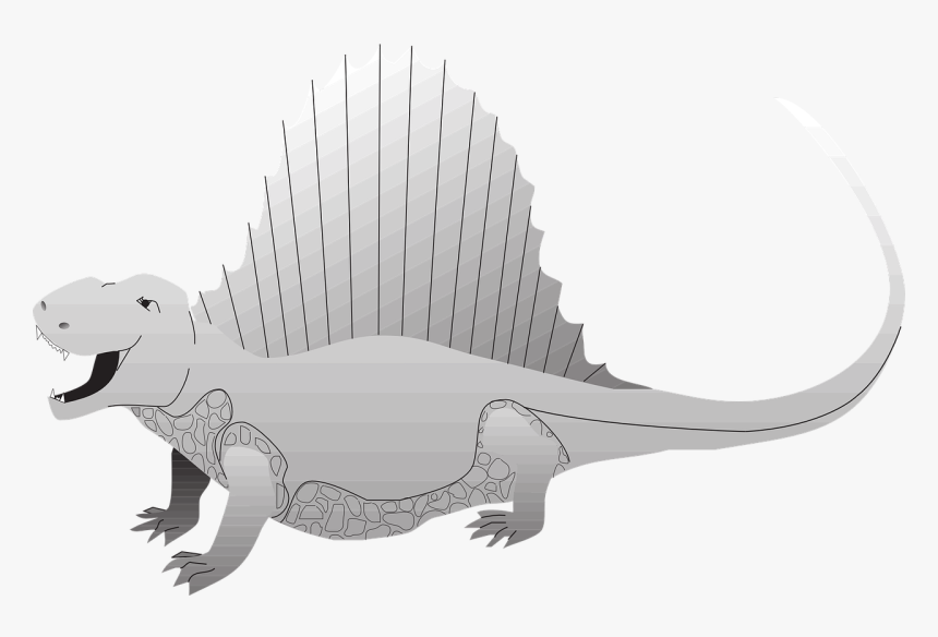 Green Iguana, HD Png Download