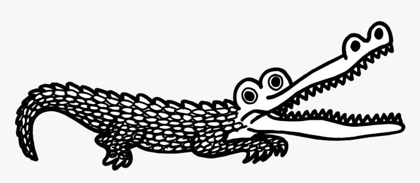 Open, Mouth, Scales, Teeth, Alligator - Wide Can An Alligator Open Its Mouth, HD Png Download