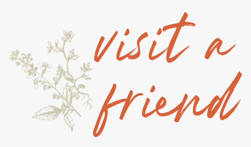 Ww Website Story2 - Calligraphy, HD Png Download