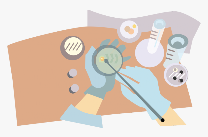 Recent Advances In Natural - Microbiology Clip Art, HD Png Download