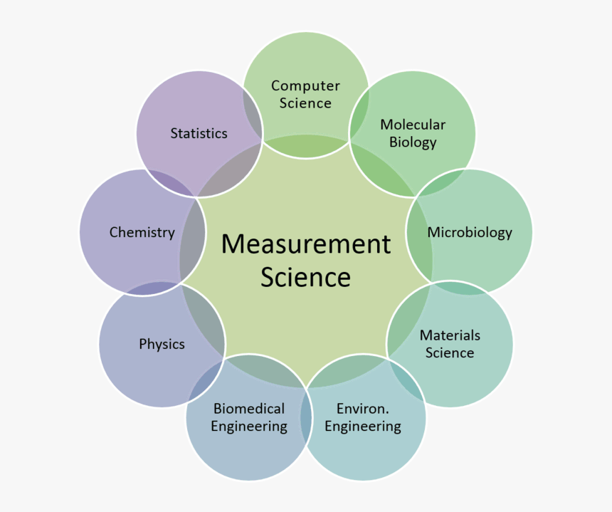 Cross-functional Teams - Management, HD Png Download