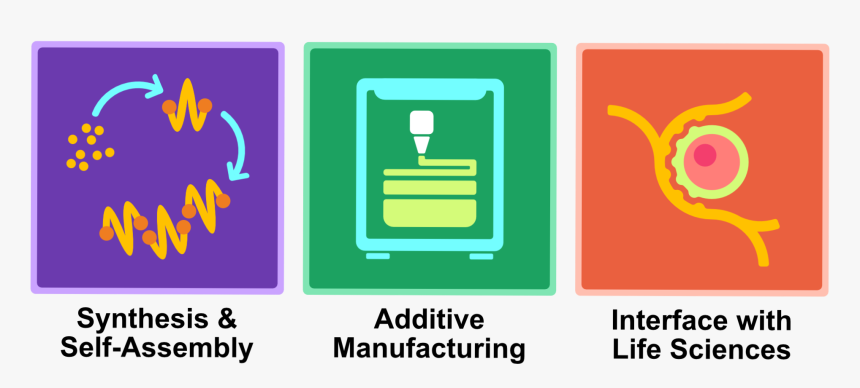 We Harness Our Understanding Of Organic Chemistry,, HD Png Download