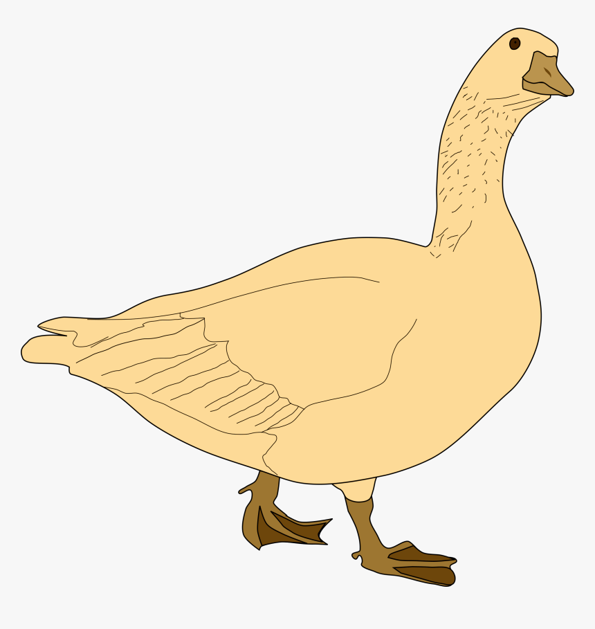 %22golden Goose%22 Oca-gris - Goose Clip Art, HD Png Download