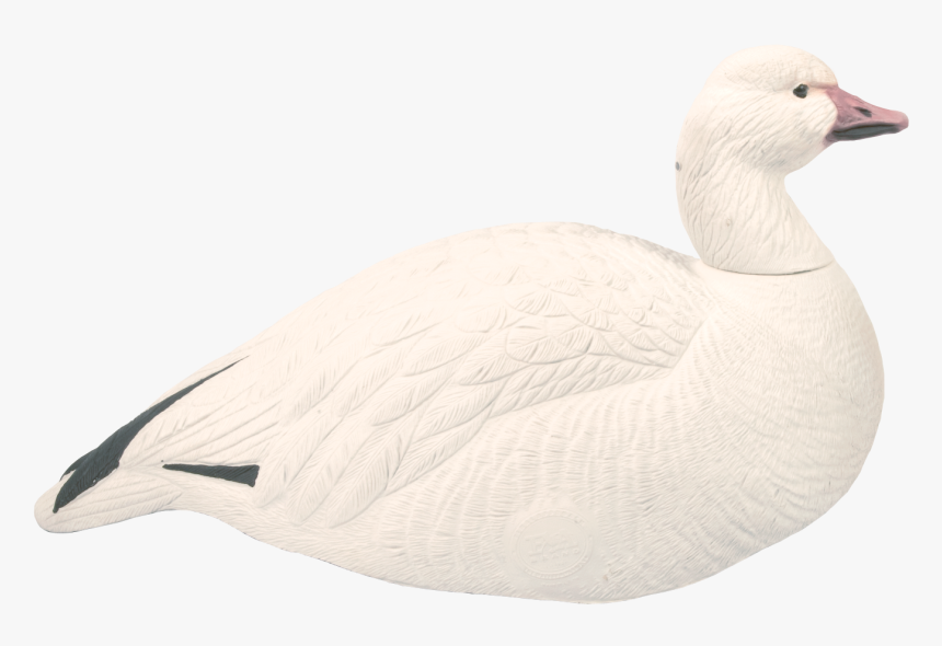 Goose Transparent Snow Animal - Seaduck, HD Png Download