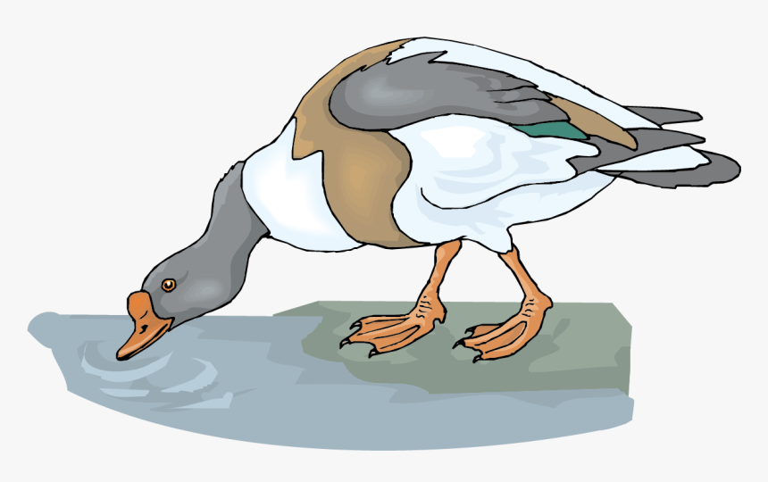 Goose Clipart Vector, HD Png Download
