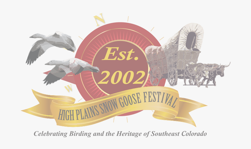 Image8 - Snow, HD Png Download