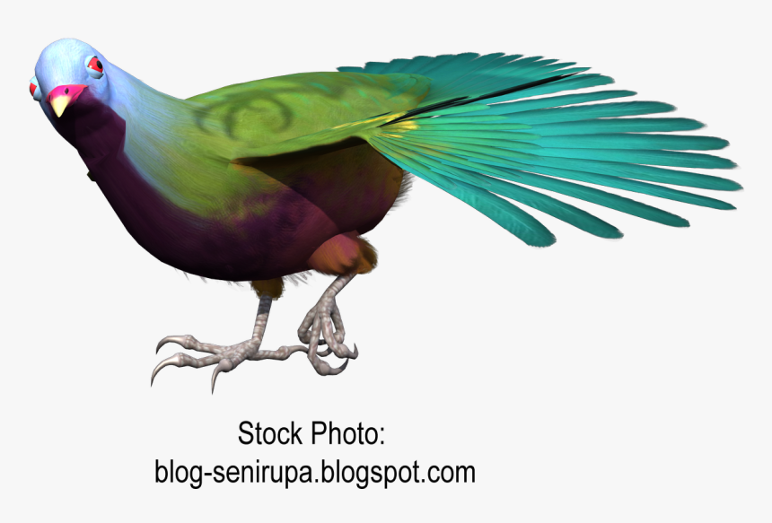 Goose Macaw Bird Gulls Beak Free Png Hq Clipart - Parakeet, Transparent Png