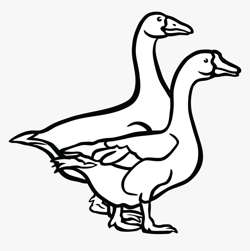 Jpg, Png, Eps, Ai, Svg, Cdr - Goose Black And White, Transparent Png