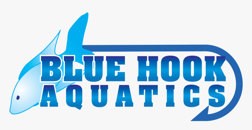 Great White Shark, HD Png Download