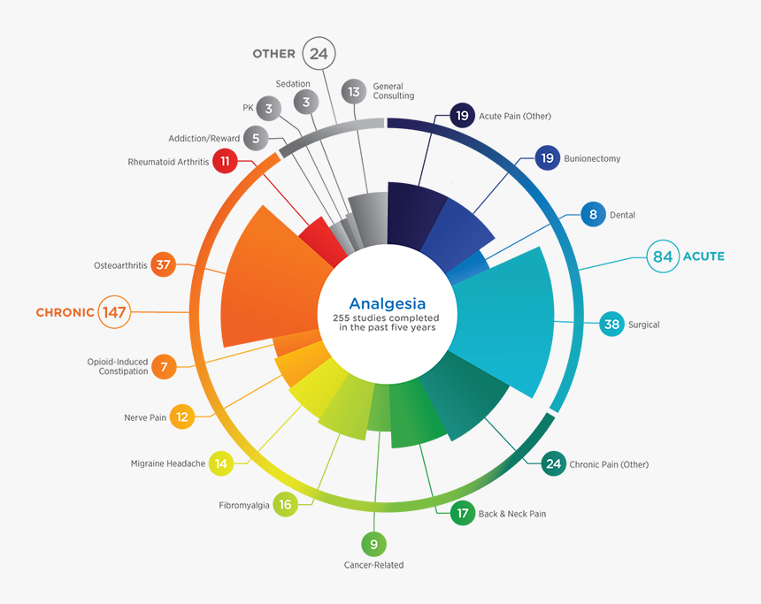 Diagram, HD Png Download
