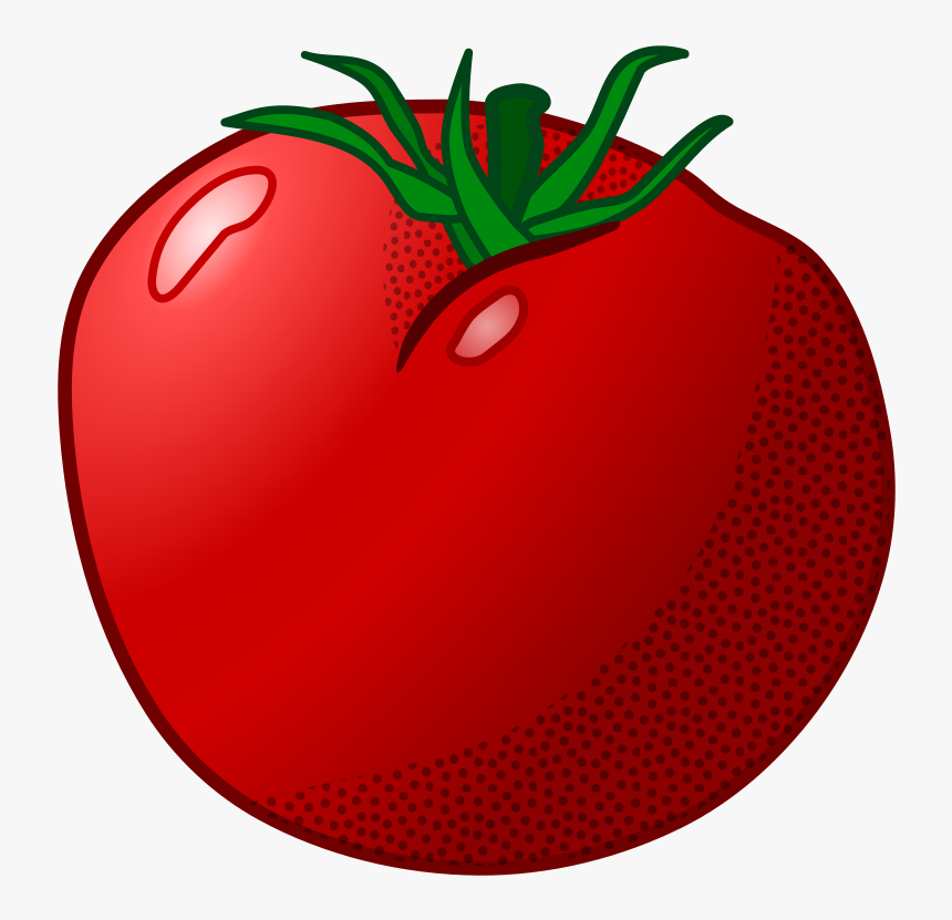 Tomato - Coloured - Tomato Clip Art, HD Png Download