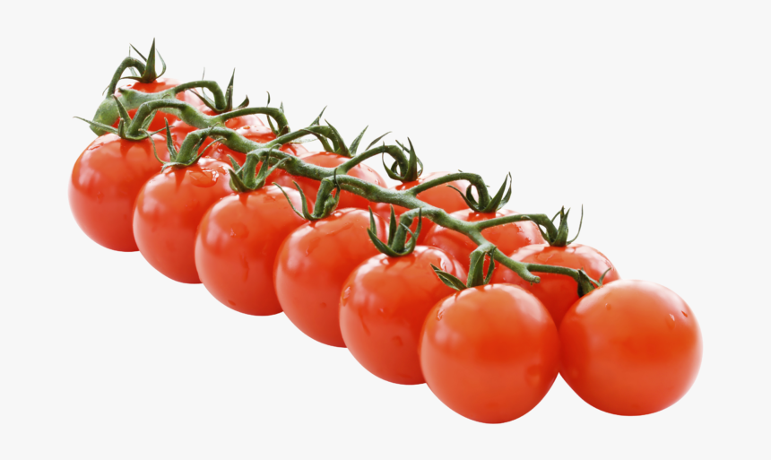Vine Tomatoes Png, Transparent Png