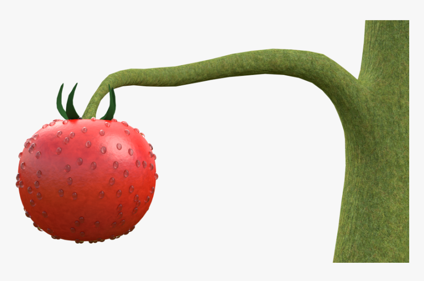 Tomato Plant Wip - Strawberry, HD Png Download