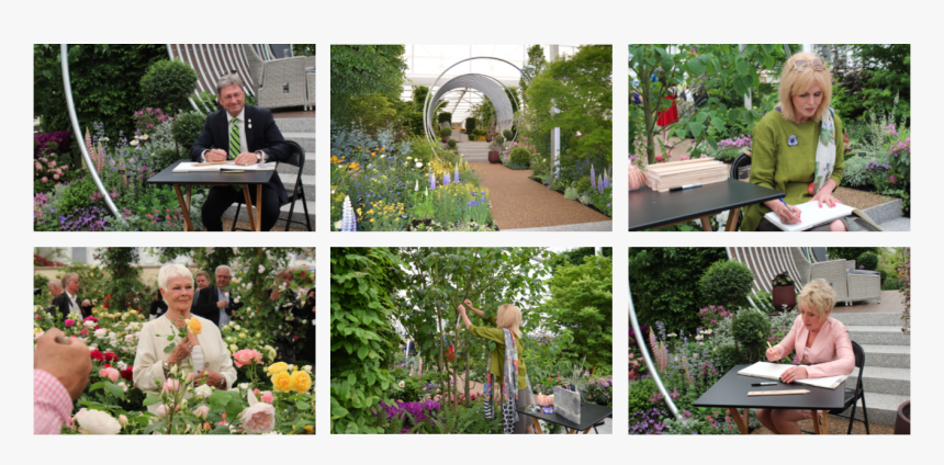 Chelsea - Yard, HD Png Download