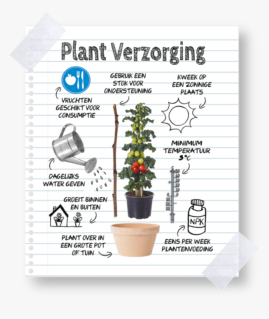 Keep Farmzy Tomato Plants - Flowerpot, HD Png Download