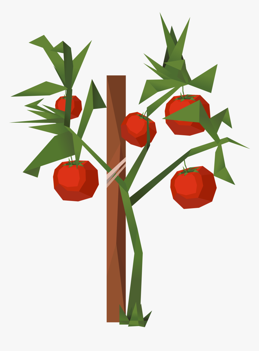 Tomato Clip Art, HD Png Download