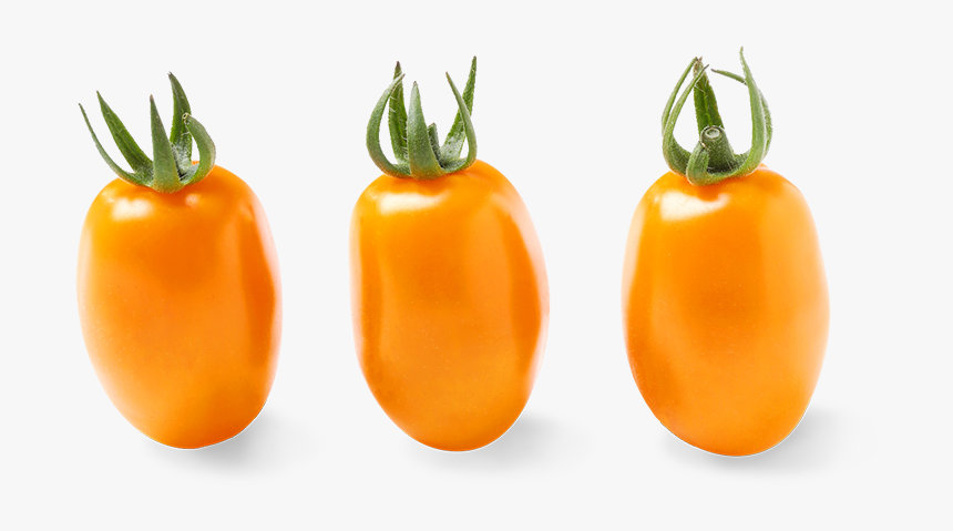 Oriana Orange Grape Tomatoes - Orange Cherry Tomatoes Long, HD Png Download