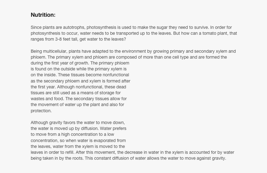Since Plants Are Autotrophs, Photosynthesis Is Used - Adaptation For Tomato, HD Png Download