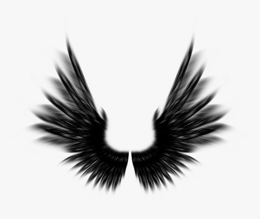 Feather - Black Angel Wings Photoshop, HD Png Download