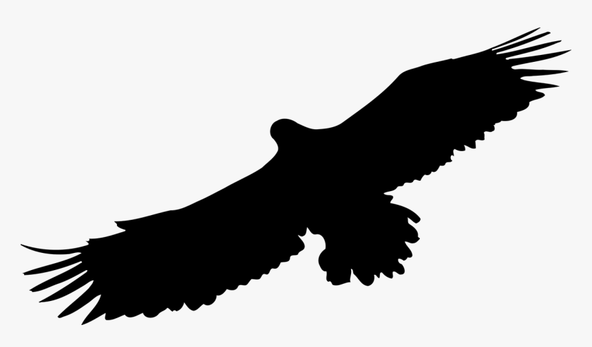 Silhouette Bird Of Prey, HD Png Download