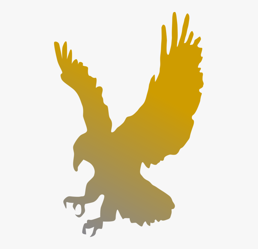 Hawk Clipart, HD Png Download