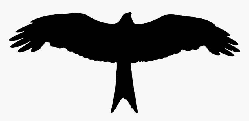 Eagle Silhouette - Eagle Silhouette Clip Art, HD Png Download